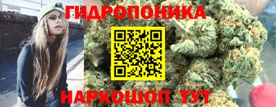 ALPHA-PVP Кандалакша