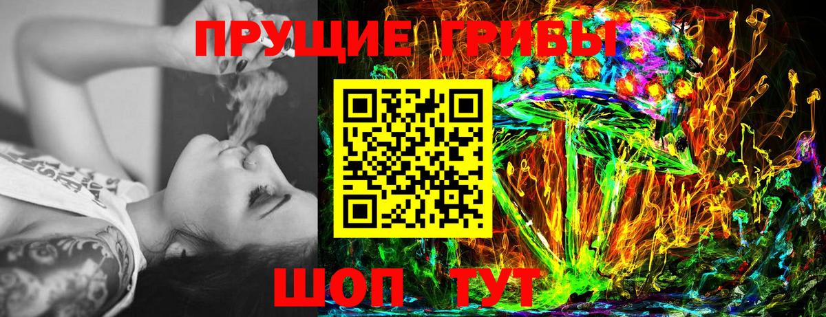 Галлюциногенные грибы Magic Shrooms Котовск