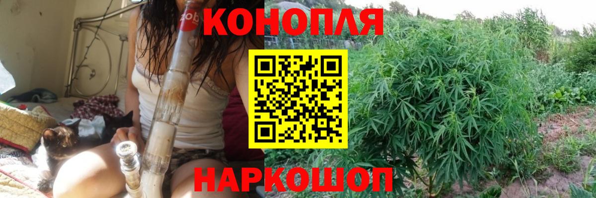 Конопля планчик Котовск